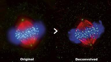 Expanded Imaging Platform Drives Research Forward Faster